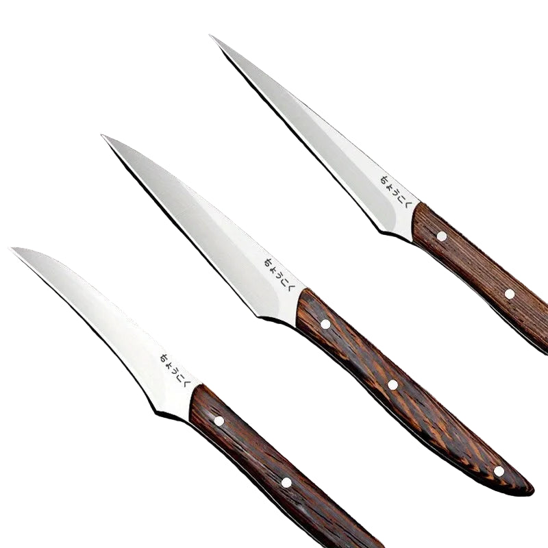 Professional 3-Piece Kitchen Food Carving Knife Set – Outdoor Camping & Barbecue Knives for Vegetables & Fruit