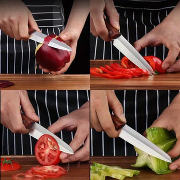 Leize 4.6-Inch Professional Chef Paring Knife – Ultra Sharp High Carbon Stainless Steel Blade with Non-Slip Grip – Ideal for Fruit, Vegetables, Garnishing, and Decorating – Elegant Gift Box Included