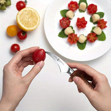 Stainless Steel Fruit & Vegetable Carving Knife – Rust-Resistant, Scratch-Proof Tool for Garnishes & Sculptures
