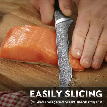 Damascus Fillet Knife 5.6