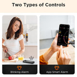 Wireless Bluetooth Meat Thermometer with Dual Probes | Smart Digital Cooking Thermometer for Grill, BBQ, Oven & Smoker