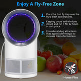compact-gnat-trap-home-decor
