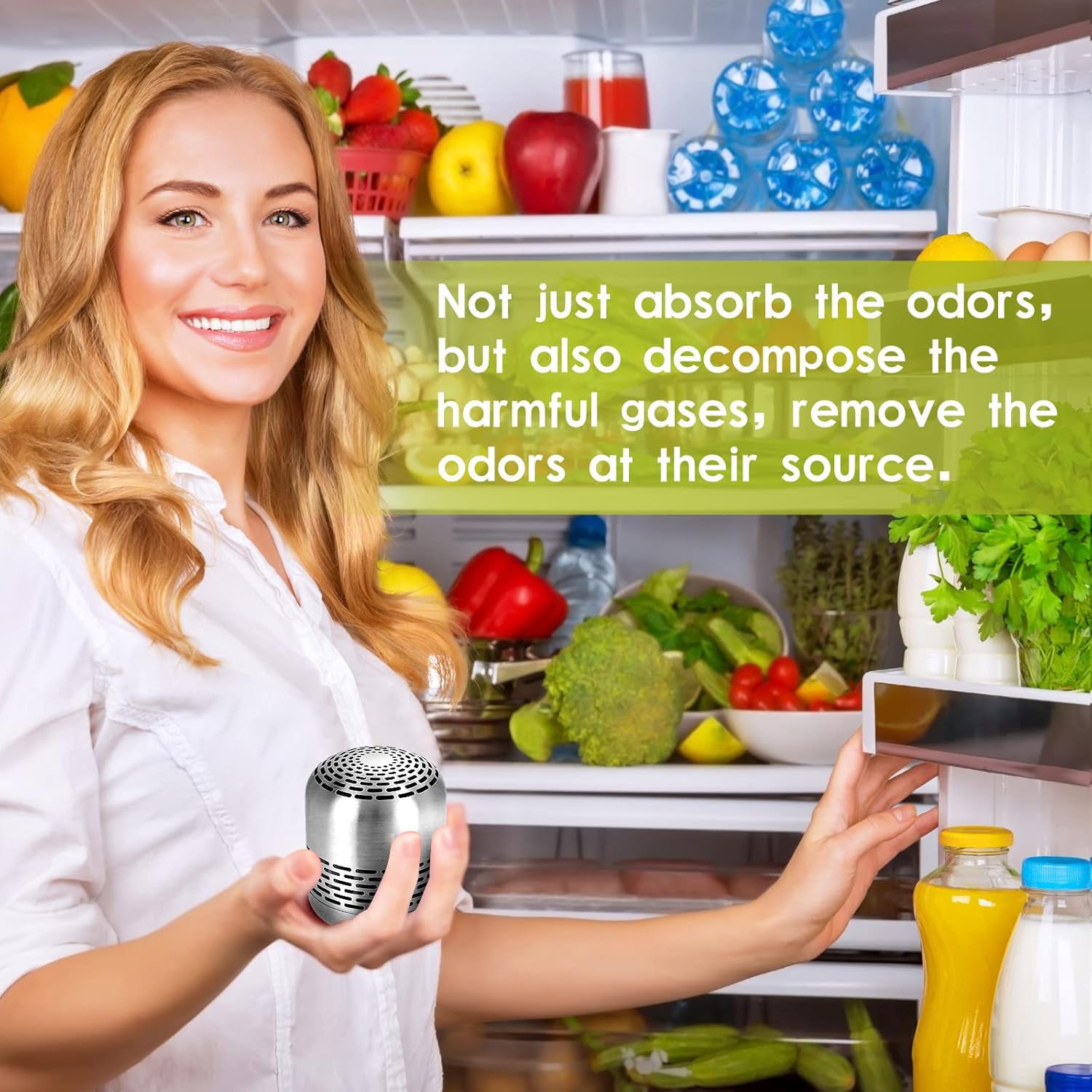 Refrigerator deodorizer placed inside fridge shelf
