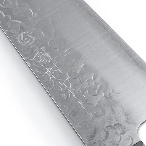 Close-up of VG-10 steel Gyuto blade